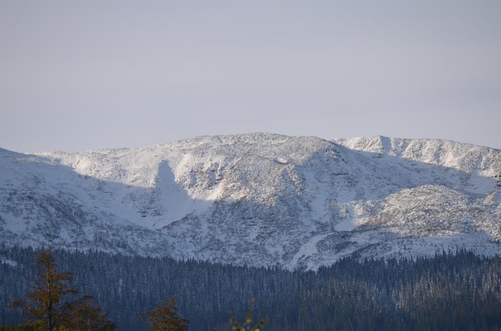 Dom Na Mosornym Groniu Villa Zawoja Exteriör bild