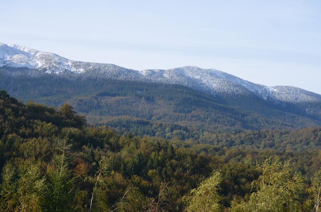 Dom Na Mosornym Groniu Villa Zawoja Exteriör bild