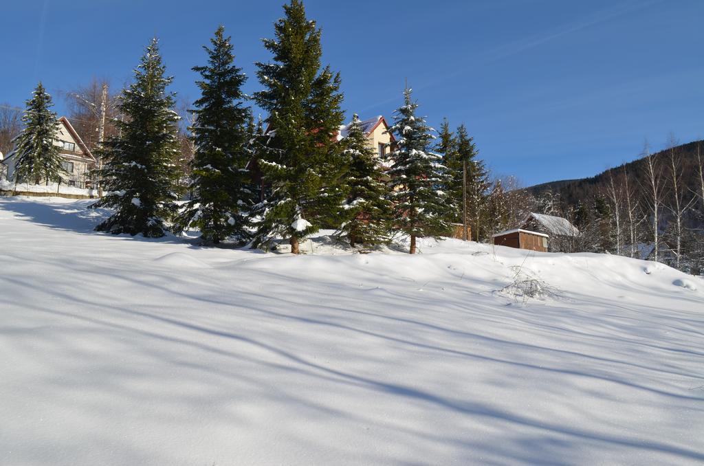 Dom Na Mosornym Groniu Villa Zawoja Exteriör bild