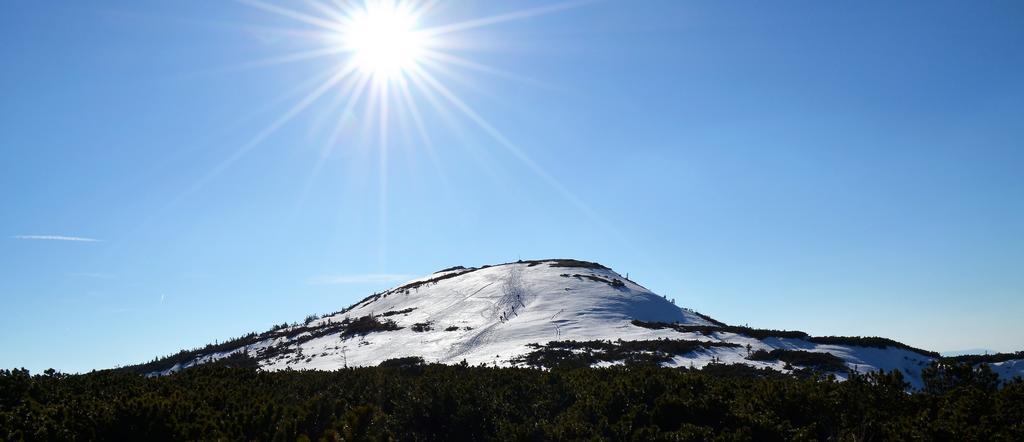 Dom Na Mosornym Groniu Villa Zawoja Exteriör bild