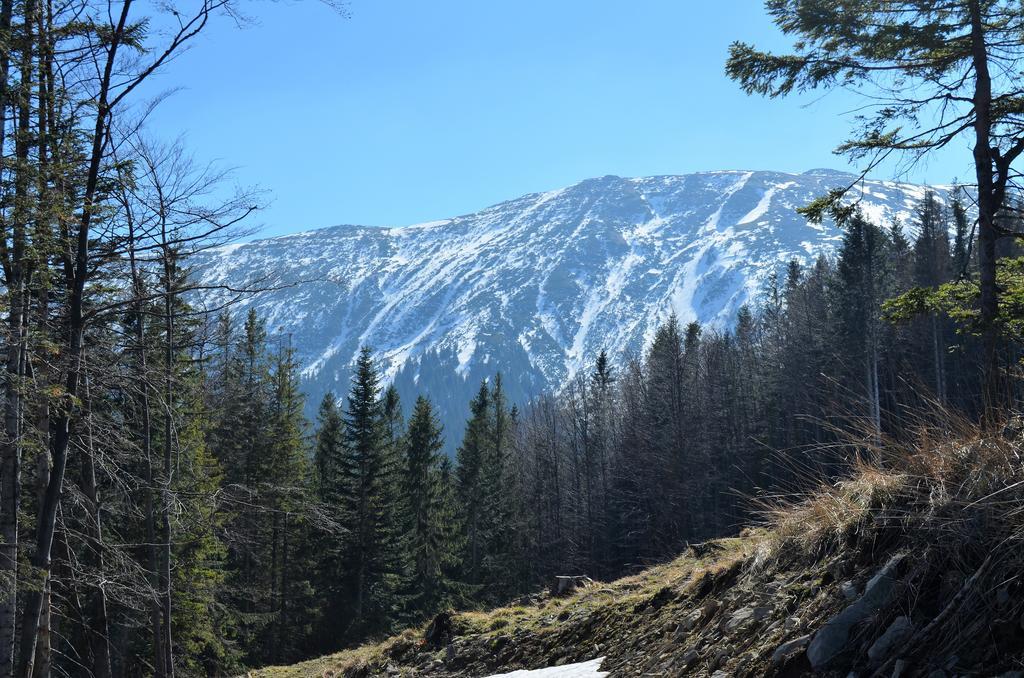 Dom Na Mosornym Groniu Villa Zawoja Exteriör bild